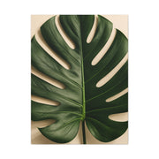 Minimal Monstera Leaf Botanical Tropical Wall Art & Canvas Print