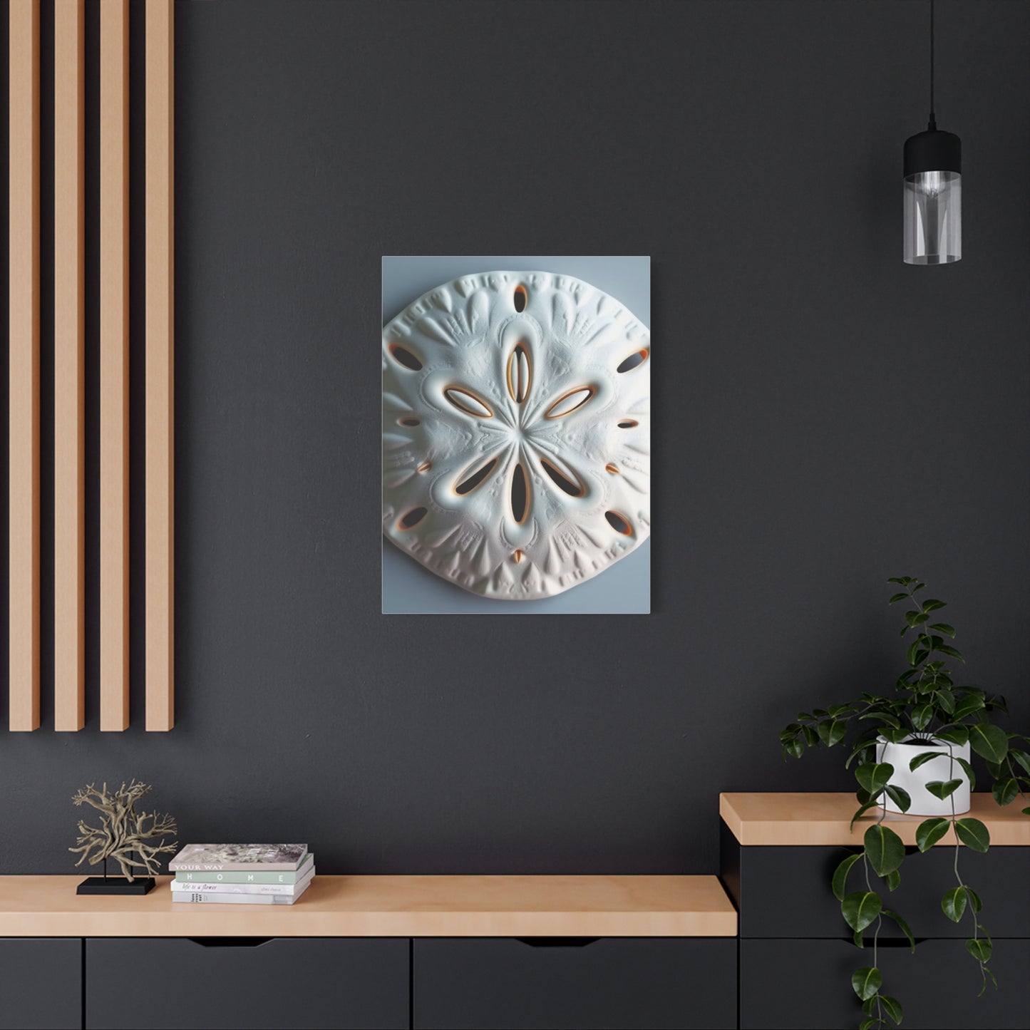 Supreme Sand Dollar Art Beautiful Collection Wall Art & Canvas Print
