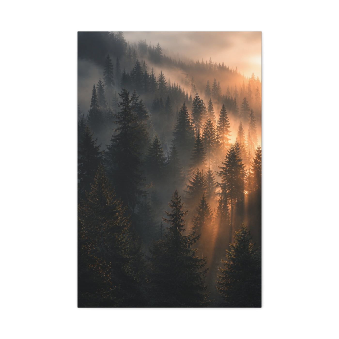 Misty Pine Forest Sunrise Depth Trees Wall Art & Canvas Print