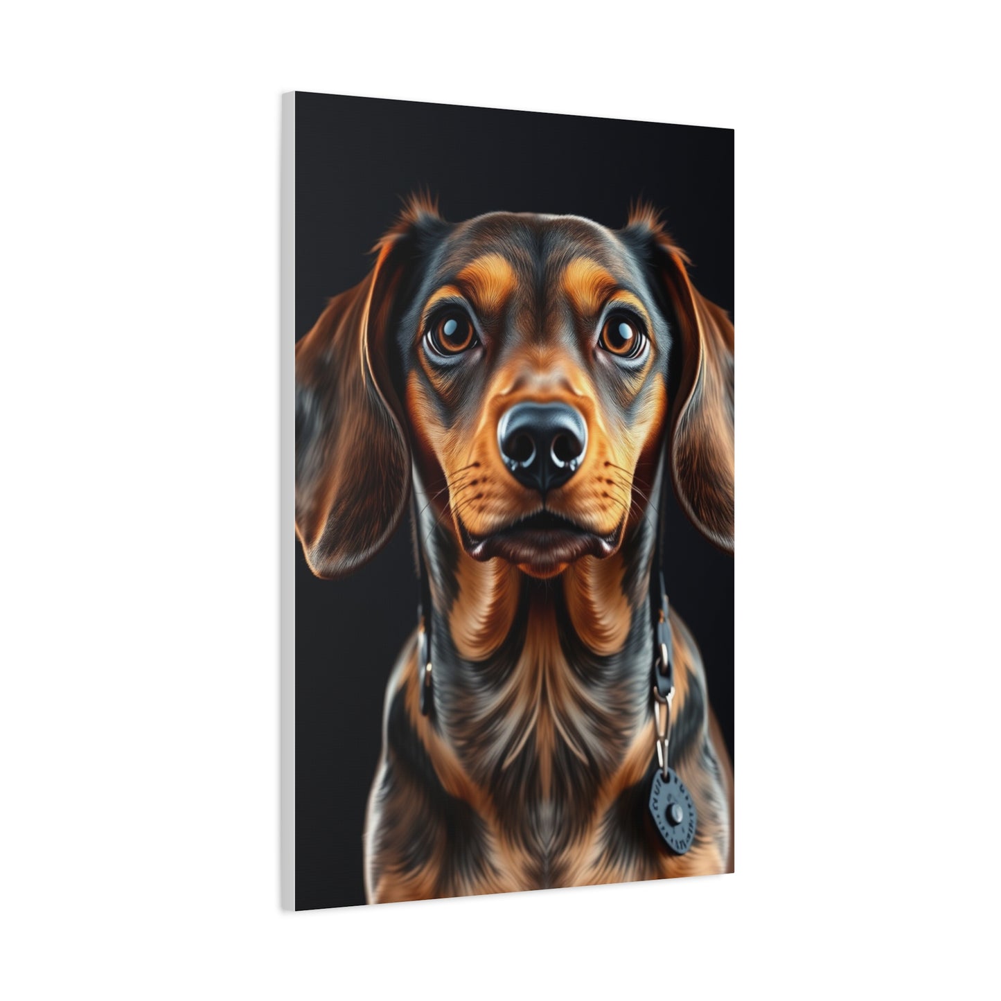 Supreme Dachshund Art Collection Wall Art & Canvas Print