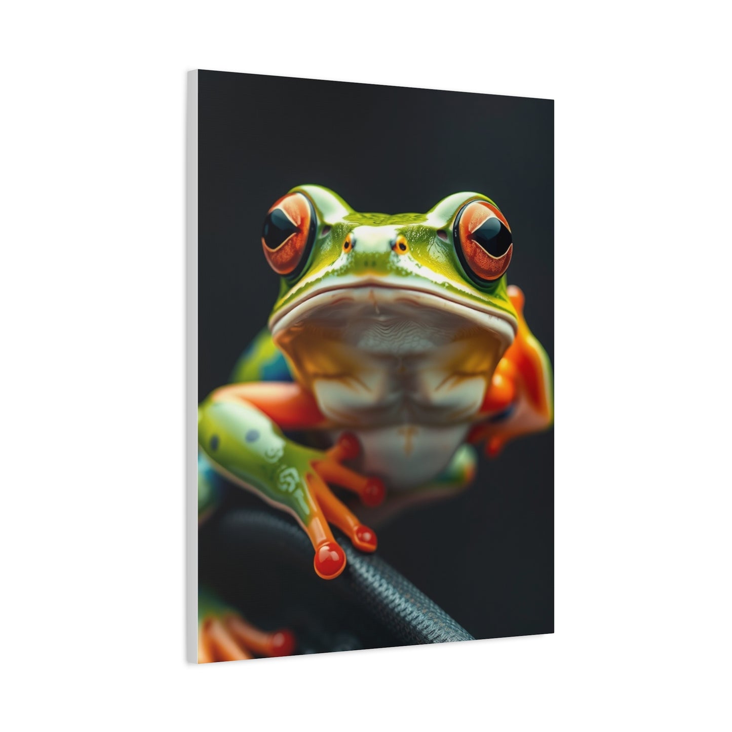 Vision Frog Art Art Wall Art & Canvas Print
