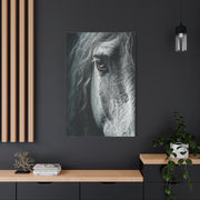 Horse Eye Intimate Monochrome Wall Art & Canvas Print