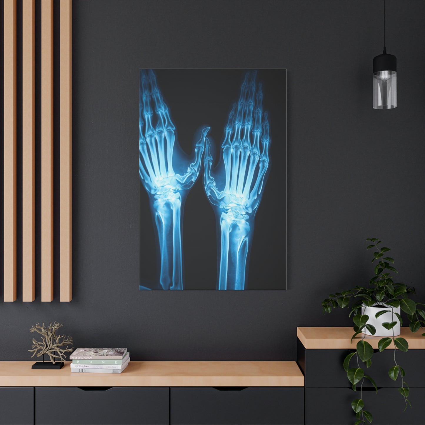 Collection X-Ray Photography Art Art Wall Art & Canvas Print