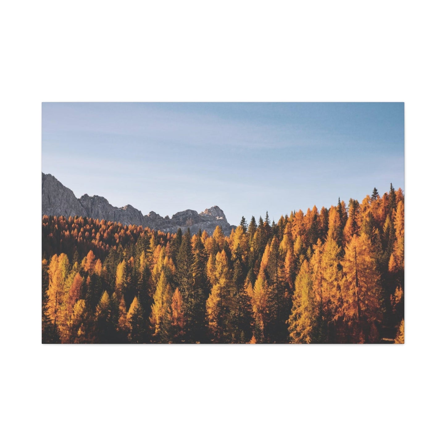 Fall Wall Art & Canvas Prints