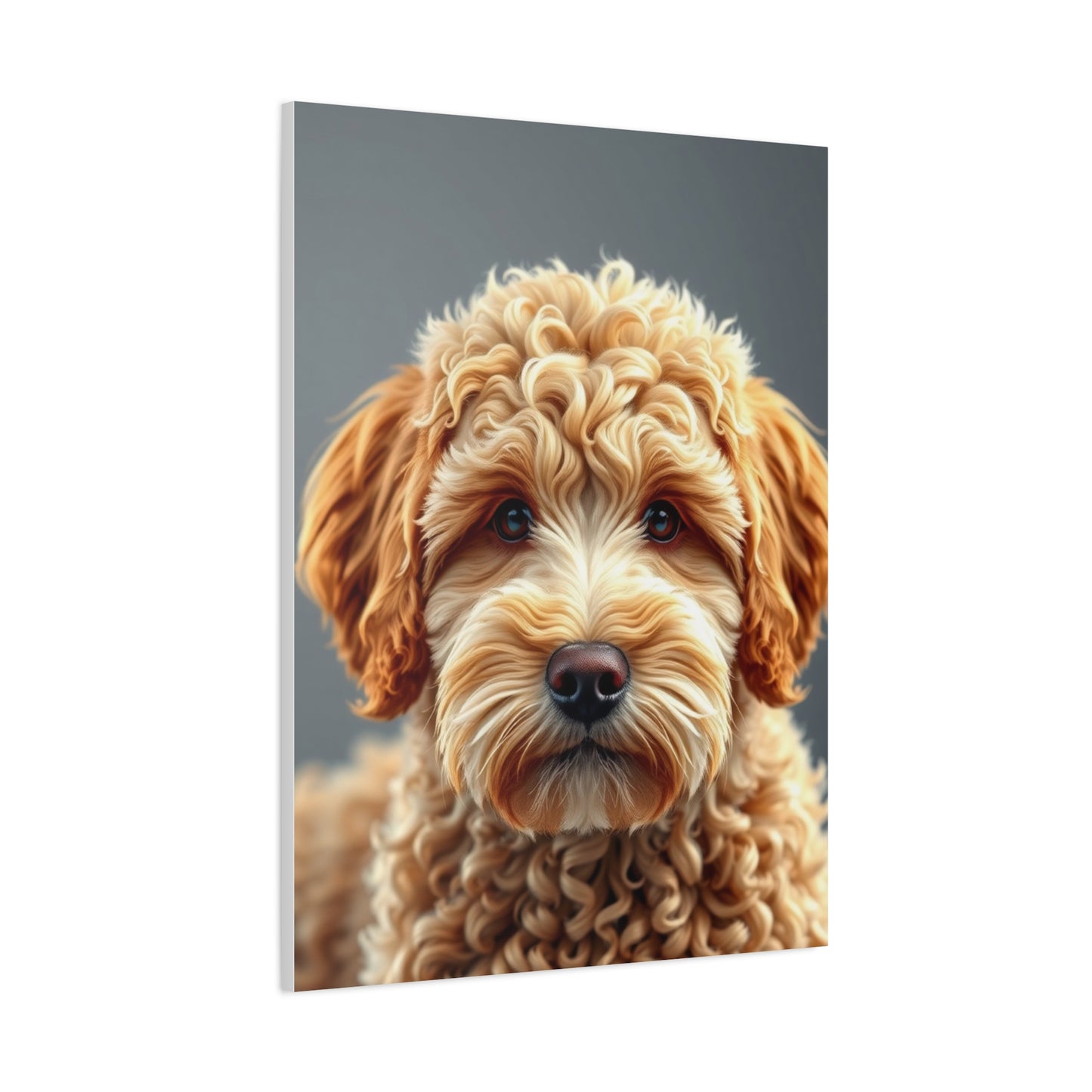 Supreme Canvas Golden Doodle Art Collection Wall Art & Canvas Print