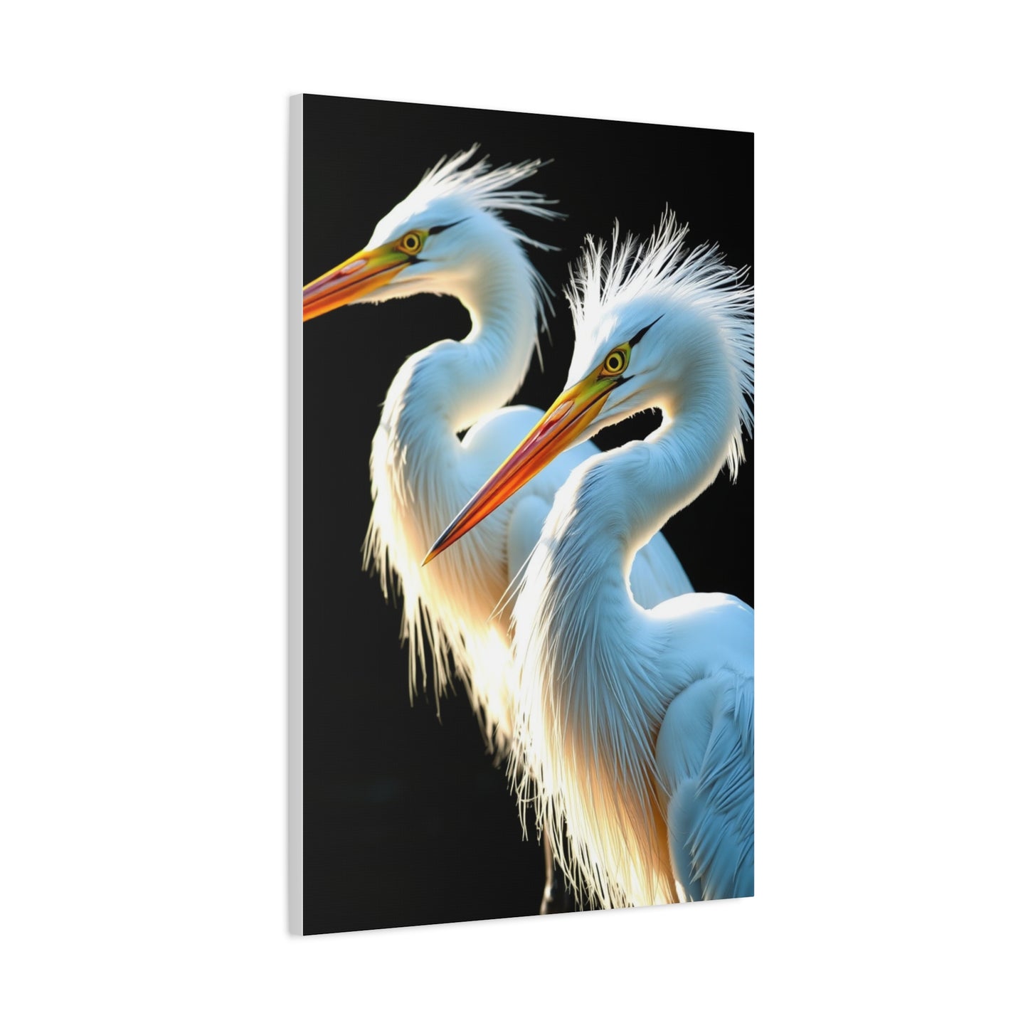Herons and Egrets Art Supreme Canvas Wall Art & Canvas Print