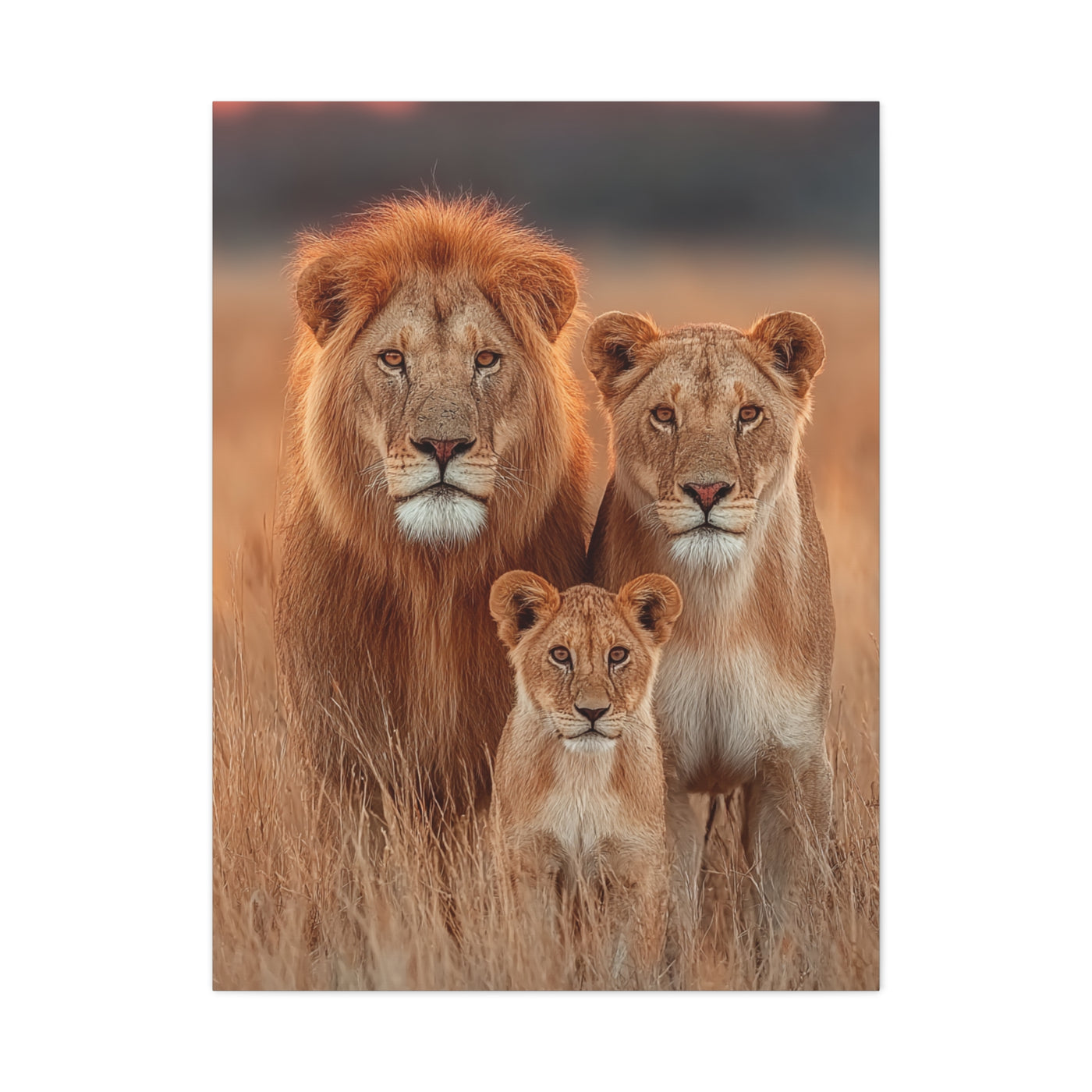 Lion Family Portrait Unity Wall Art & Canvas Print