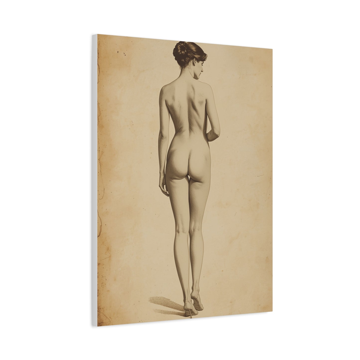 Classical Back Study Figure Wall Art & Canvas Print