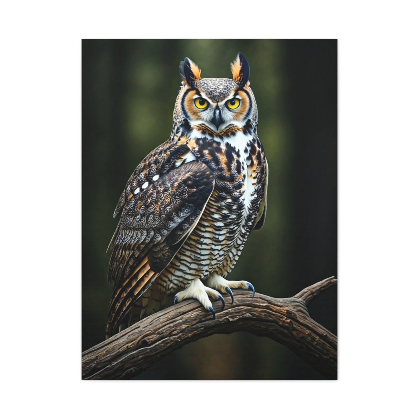 Majestic Owl Perch Wall Art & Canvas Prints
