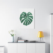 Monstera Leaf Modern Botanical Wall Art & Canvas Prints