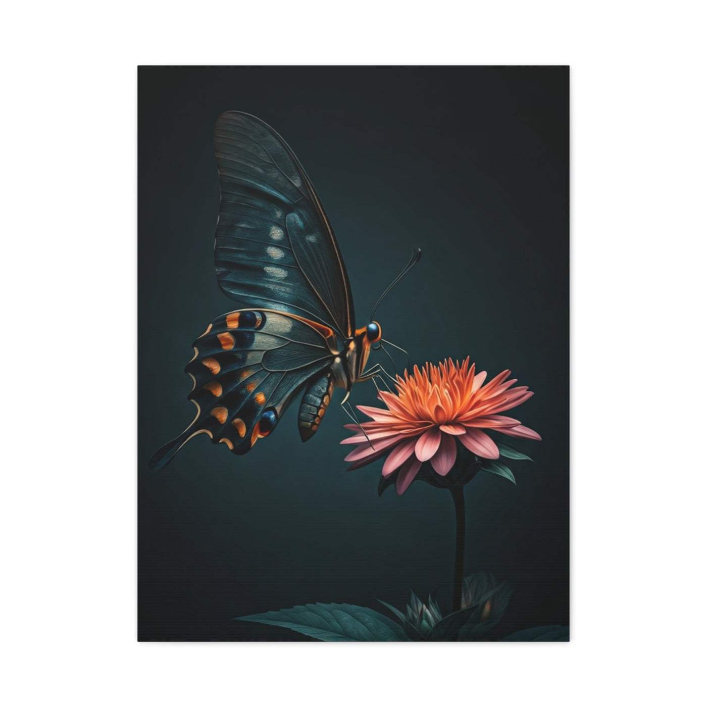 Swallowtail Butterfly and Pink Garden Flower Wall Art & Canvas Prints