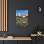 High Alpine Wildflower Meadow Wall Art & Canvas Print