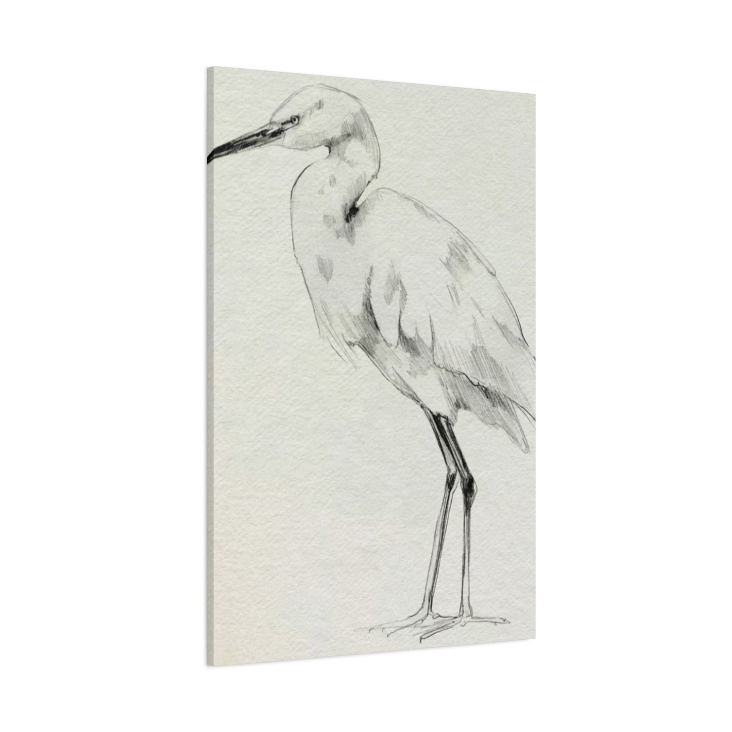 Herons Drawing Wall Art & Canvas Prints