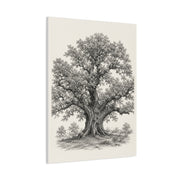 Detailed Engraved Oak Study Trees Wall Art & Canvas Print