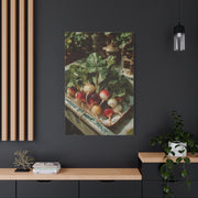 Fresh Garden Radishes Farm Sink Wall Art & Canvas Print