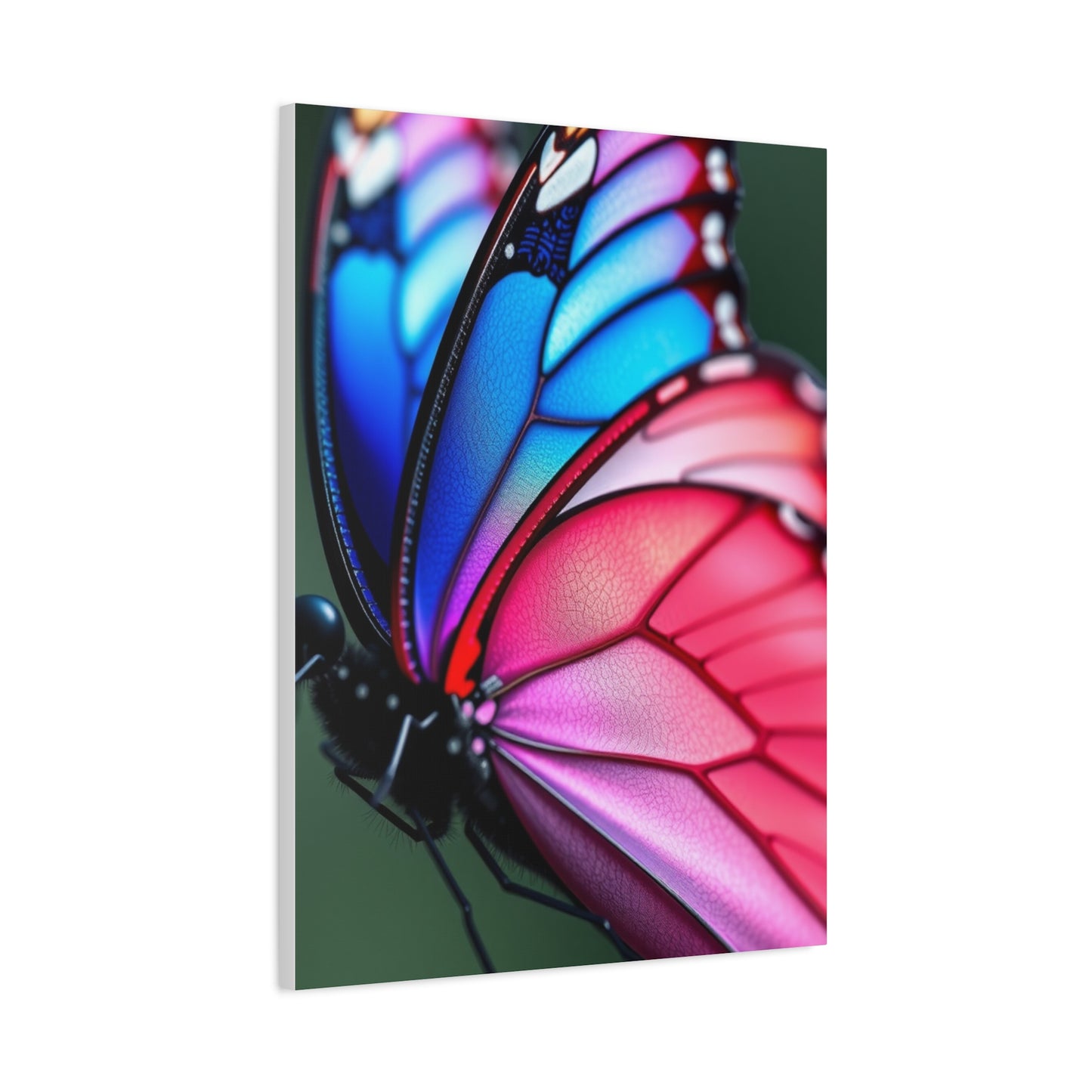 Divine Alae Canvas Wall Art & Canvas Print