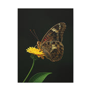 Golden Meadow Butterfly On Yellow Blossom Wall Art & Canvas Prints