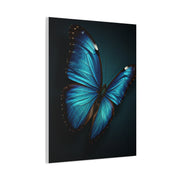 Blue Morpho Butterfly Wings Spread Wall Art & Canvas Prints