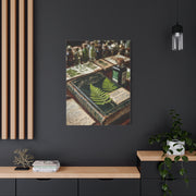 Green Antique Fern Herbarium Study Wall Art & Canvas Print