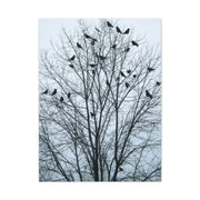 Tree of Crows Silhouette Wall Art & Canvas Print