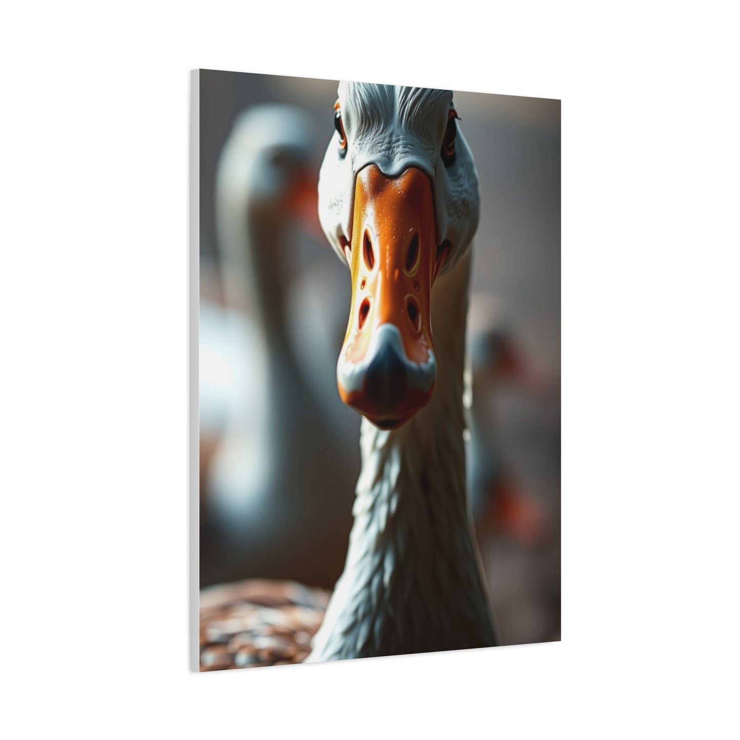 Goose Art Supreme Canvas Wall Art & Canvas Print