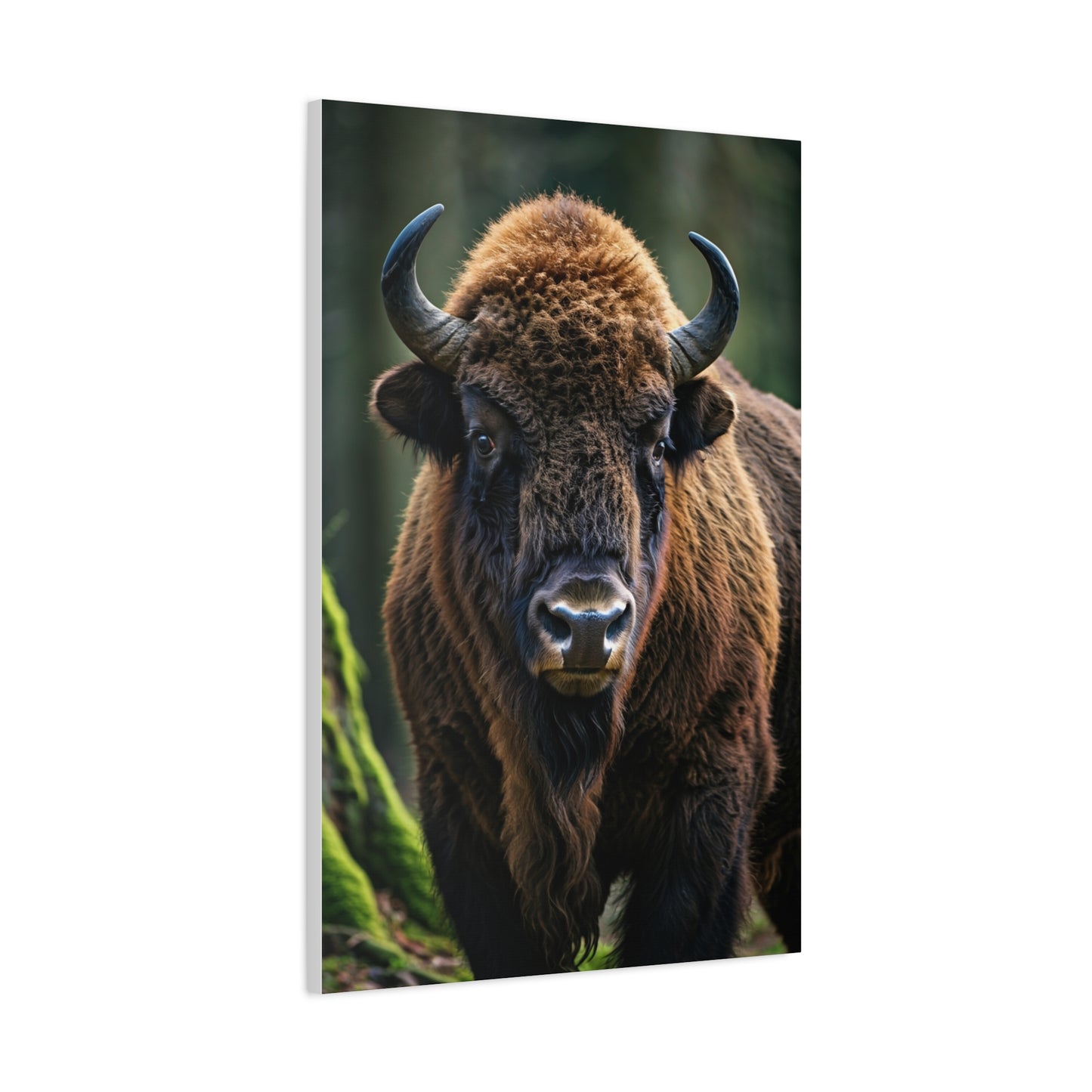 American Bison in Prairie Grass Portrait Wall Art & Canvas Print