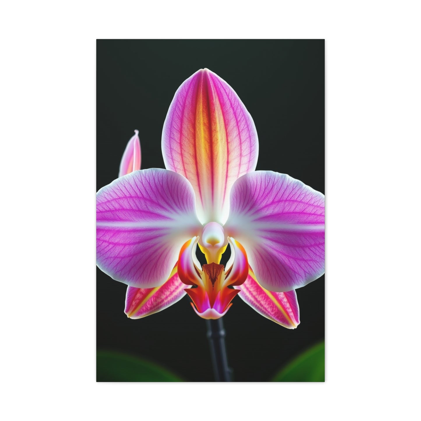 Orchid Flower Art Supreme Canvas Wall Art & Canvas Print