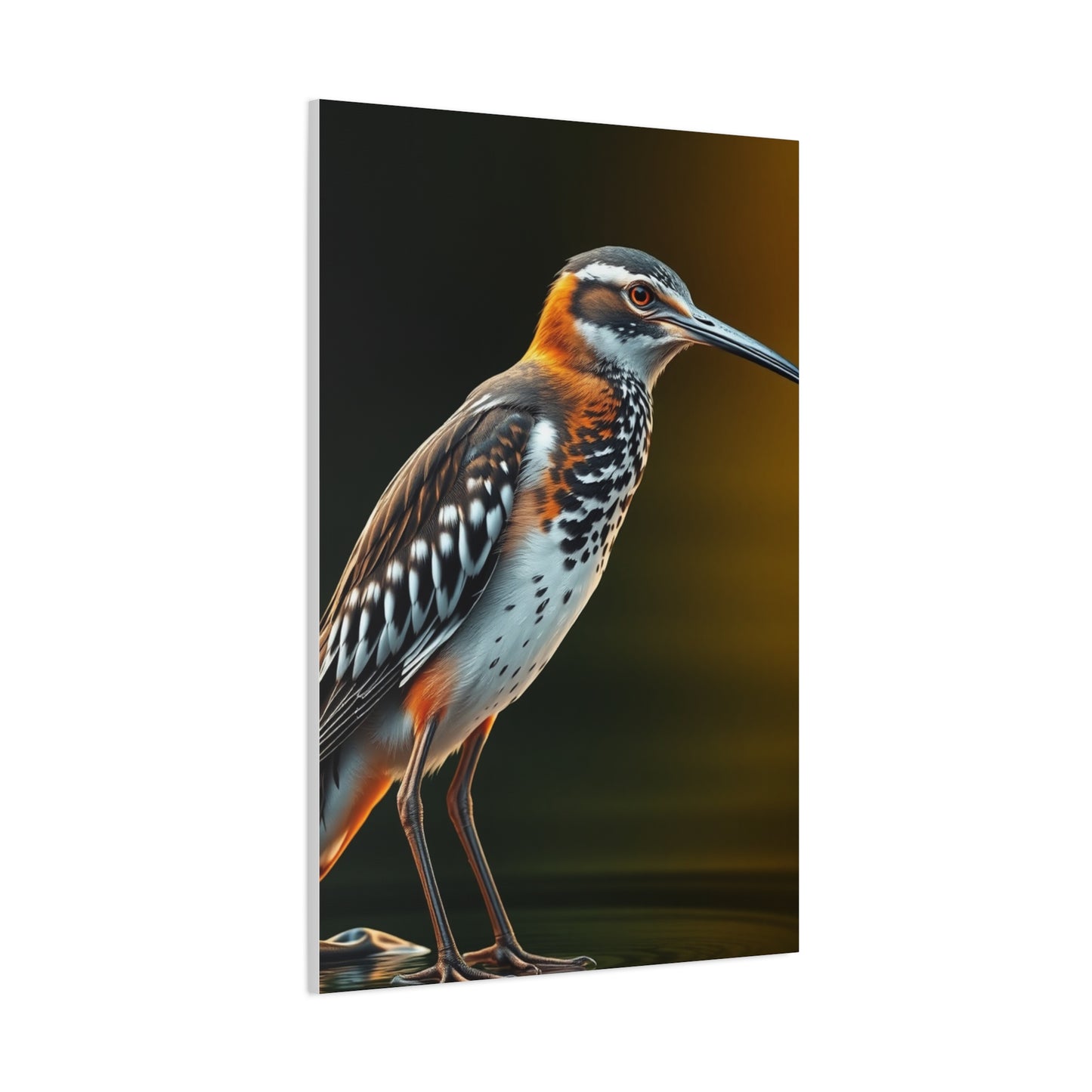 Supreme Sandpiper Art Beautiful Collection Wall Art & Canvas Print
