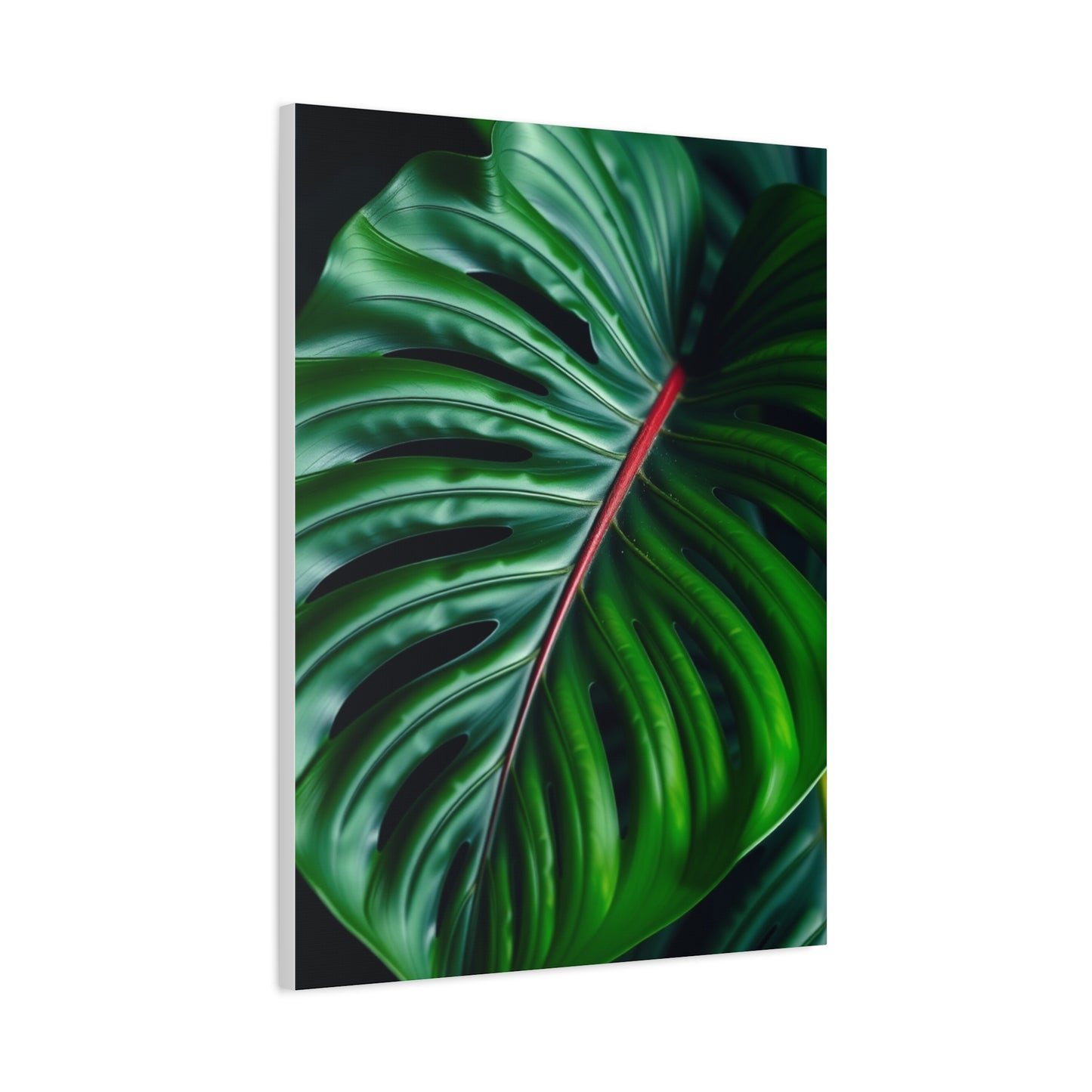 Monstera Plant Art Supreme Canvas Wall Art & Canvas Print