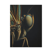 Butterfly Micro Detail Scientific Portrait Wall Art & Canvas Prints