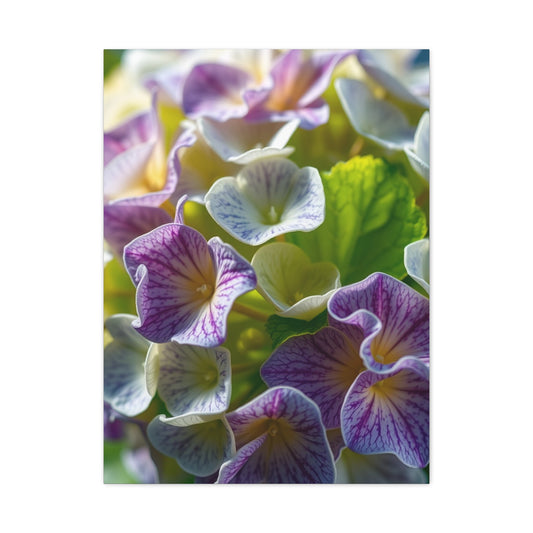 Hydrangea Flower Art Supreme Canvas Wall Art & Canvas Print