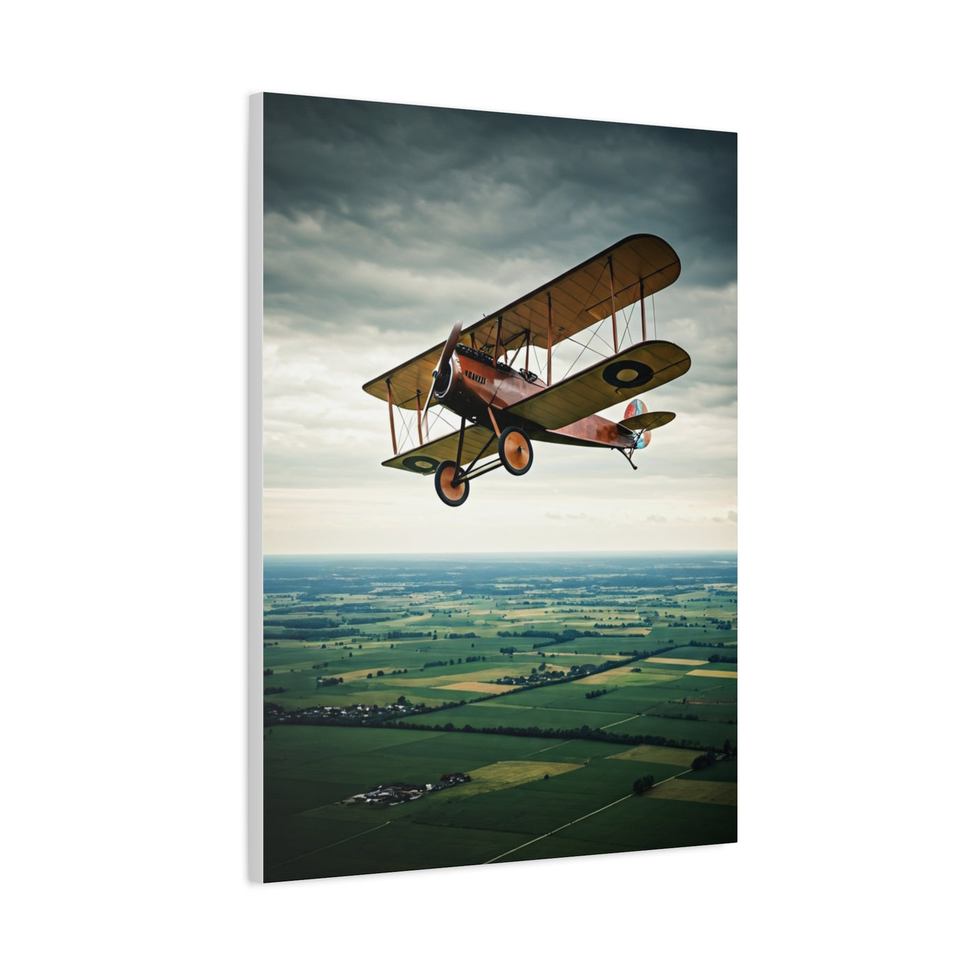 Classic Biplane Sky Journey Wall Art & Canvas Prints