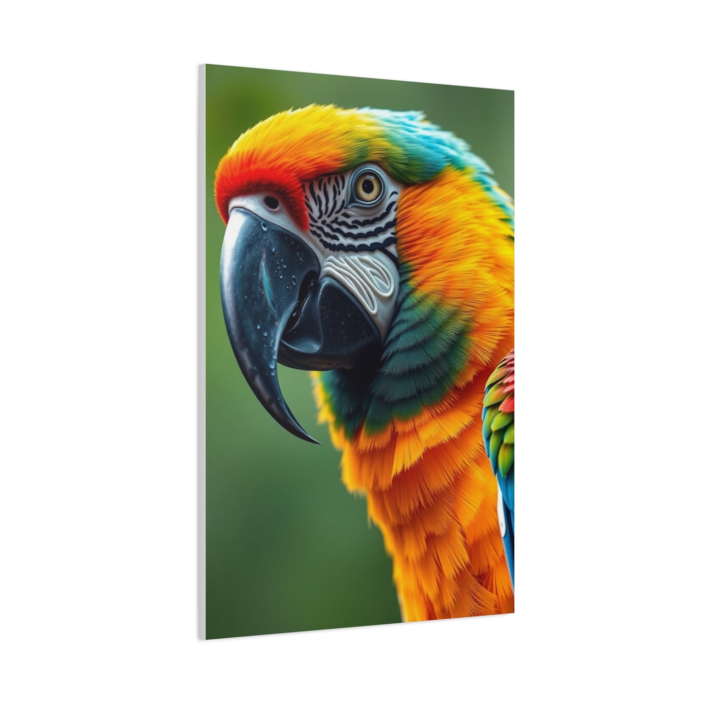 Parrot Art Supreme Gallery Wall Art & Canvas Print
