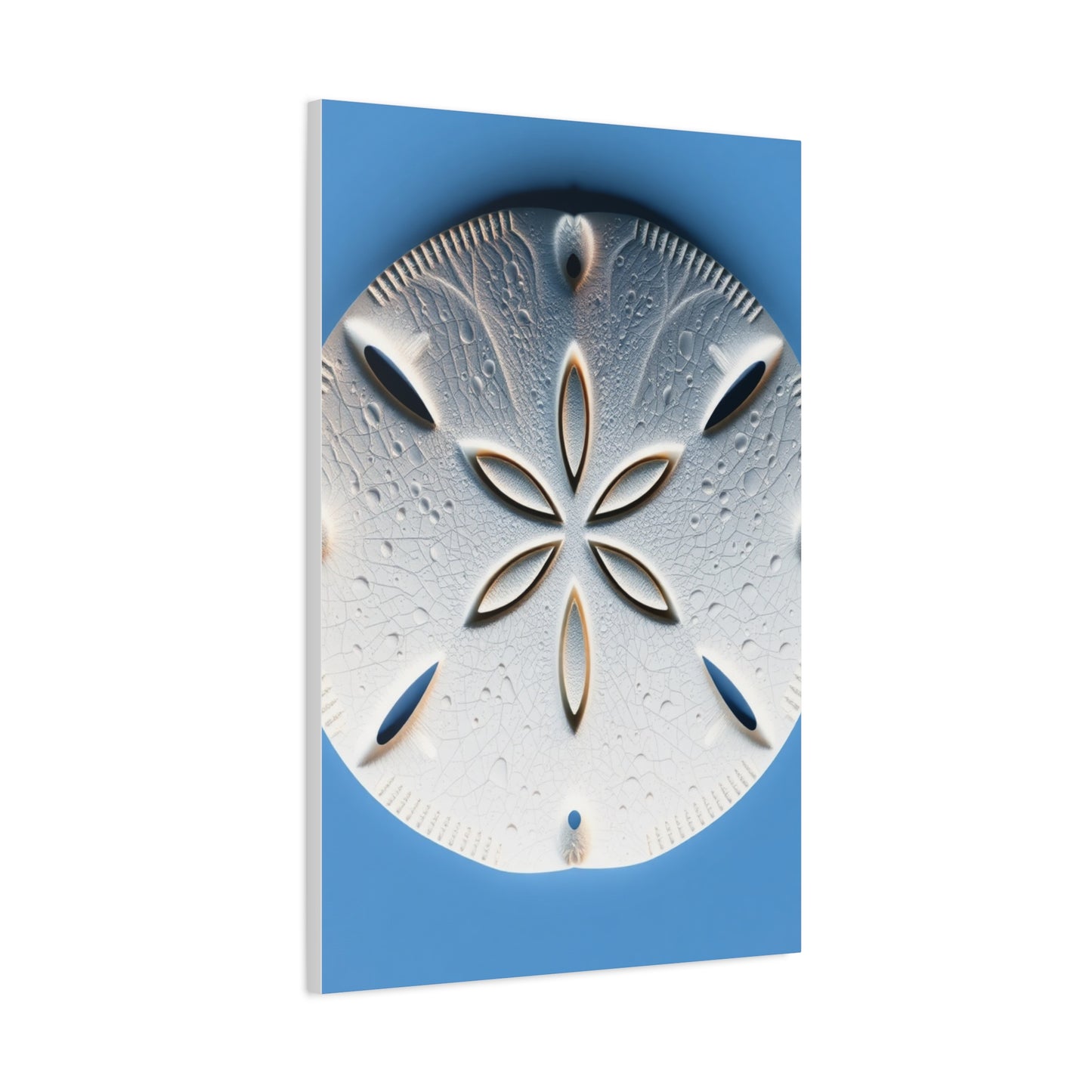 Sand Dollar Art Supreme Canvas Wall Art & Canvas Print