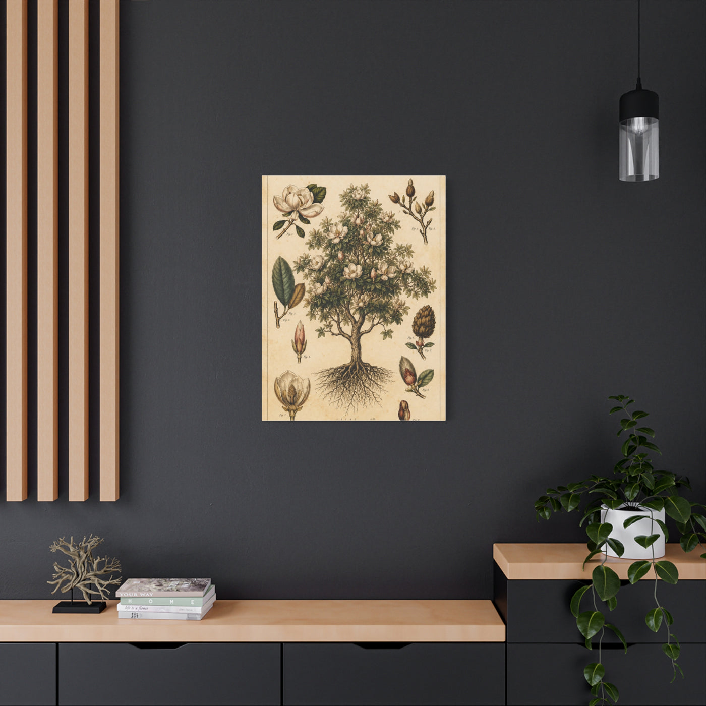 Vintage Magnolia Botanical Study Trees Wall Art & Canvas Print