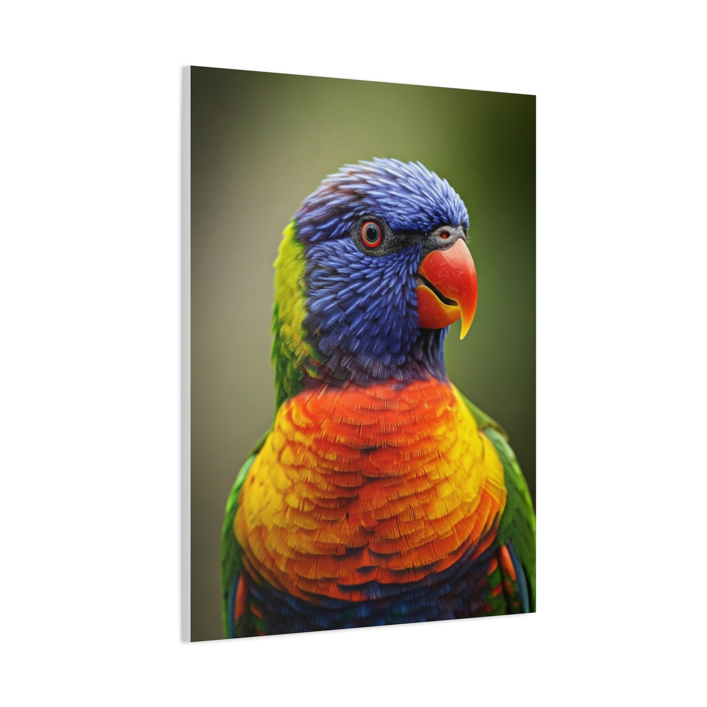 Vibrant Rainbow Lorikeet Wall Art & Canvas Prints