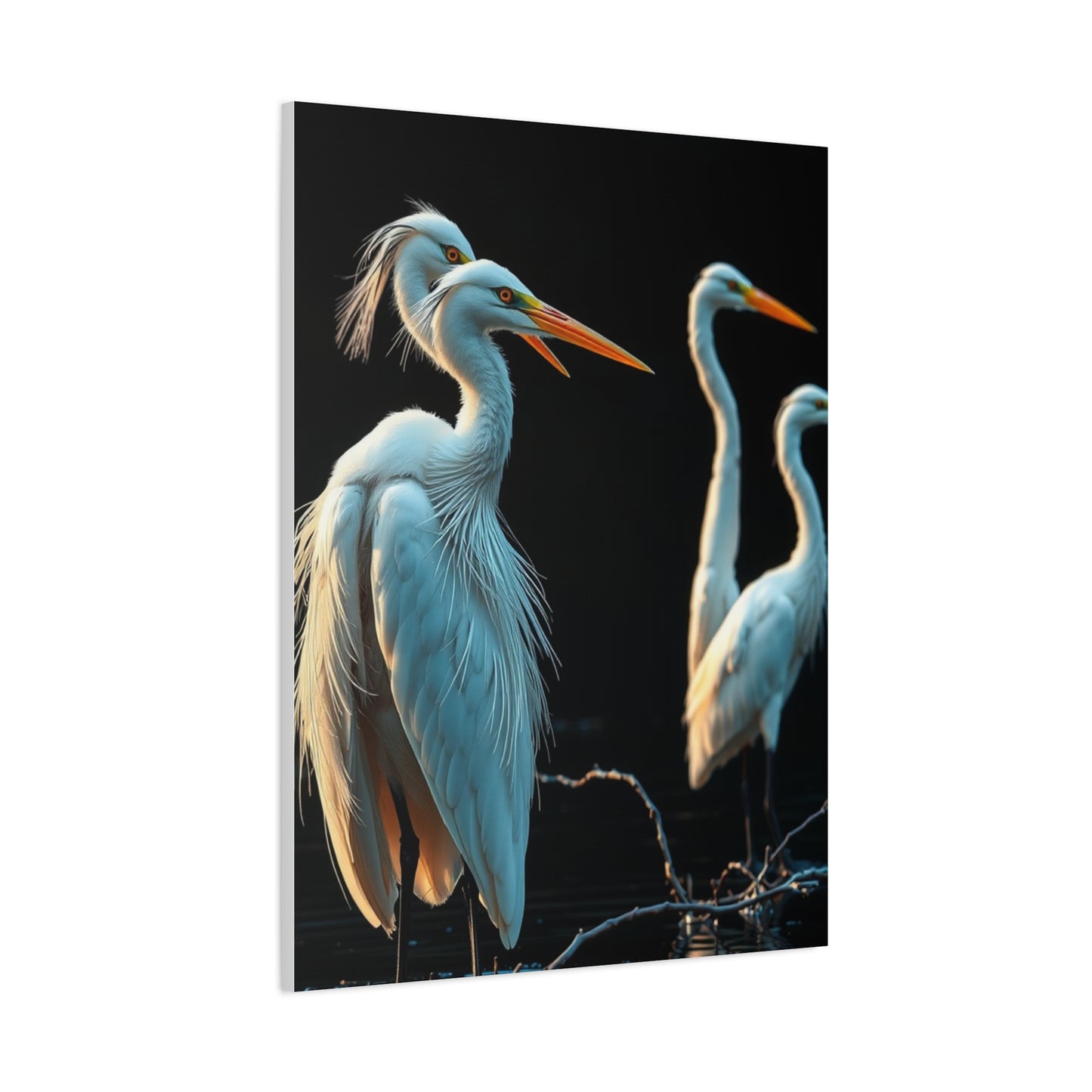 Collection Herons and Egrets Art Art Wall Art & Canvas Print