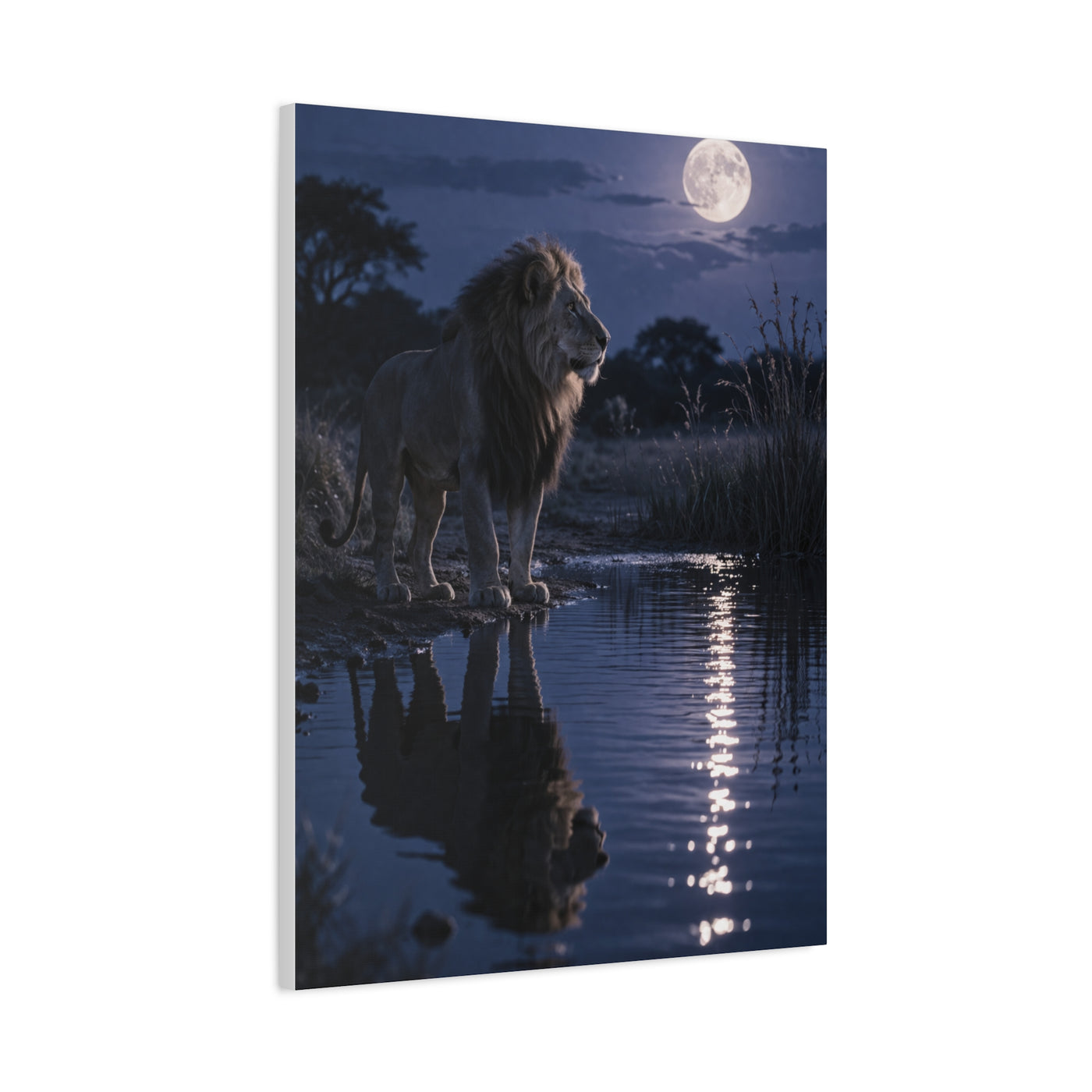 Lion by Moonlit Water Reflection Wall Art & Canvas Print