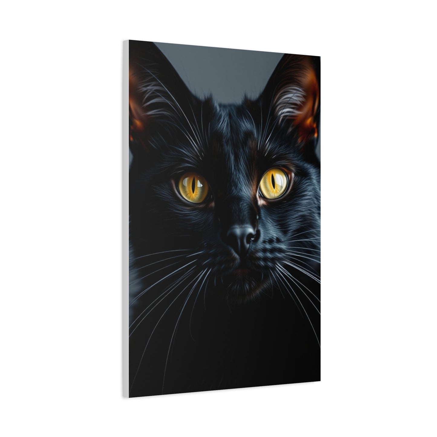 Supreme Black Cat Art Beautiful Collection Wall Art & Canvas Print