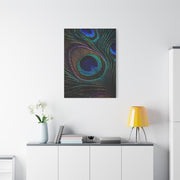 Macro Iridescent Peacock Feather Wall Art & Canvas Print