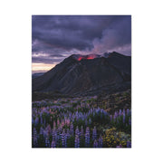 Volcanic Twilight & Wild Lupines Wall Art & Canvas Print