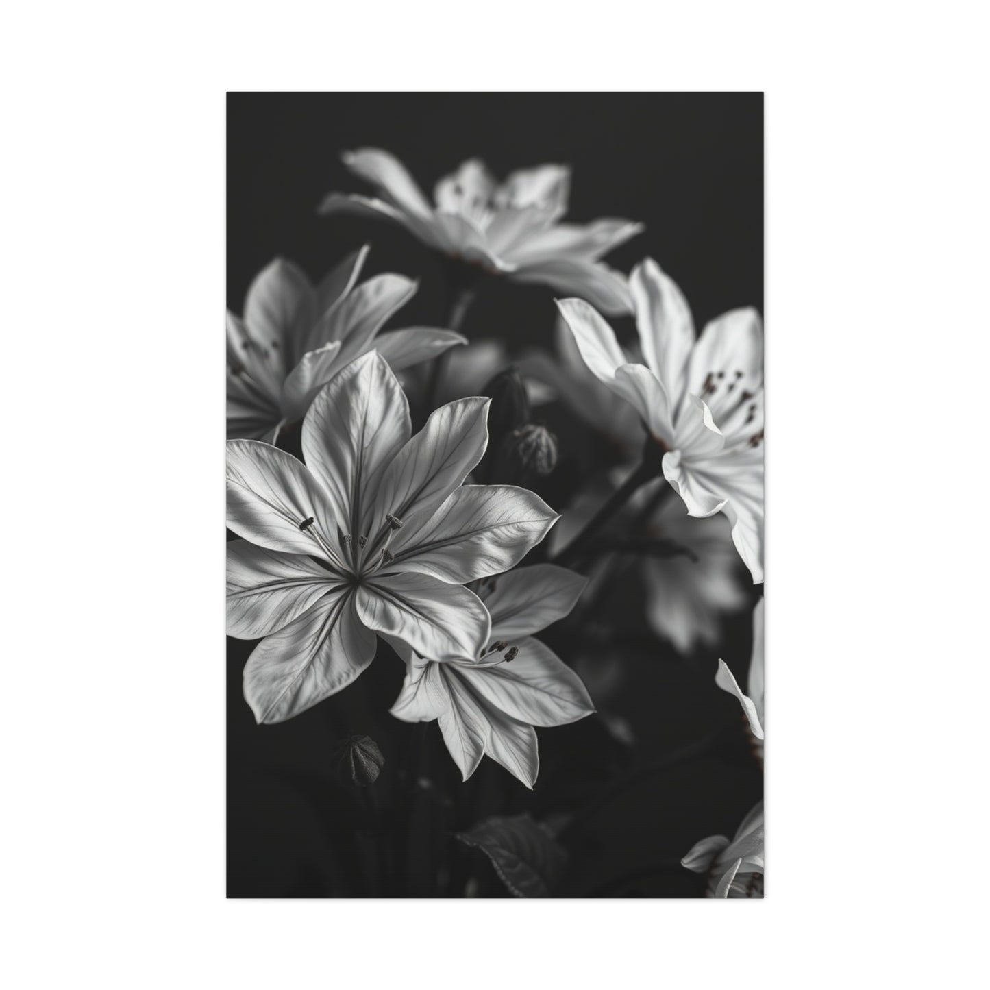 Ebony Whiteness Petal Tableau Wall Art & Canvas Print