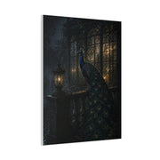 Gothic Night Peacock Balcony Wall Art & Canvas Print