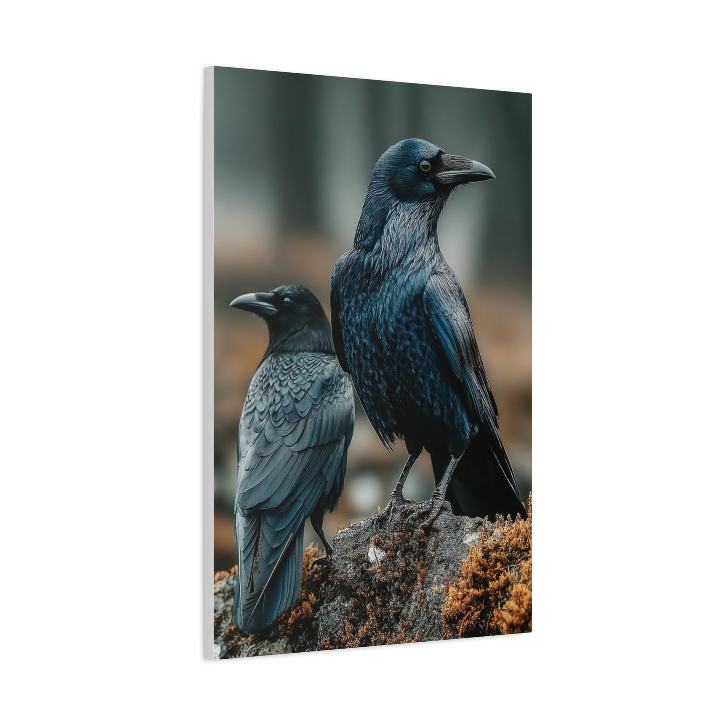 Raven and Crow Portrait – Guardians of the Wild Wall Art & Canvas Print