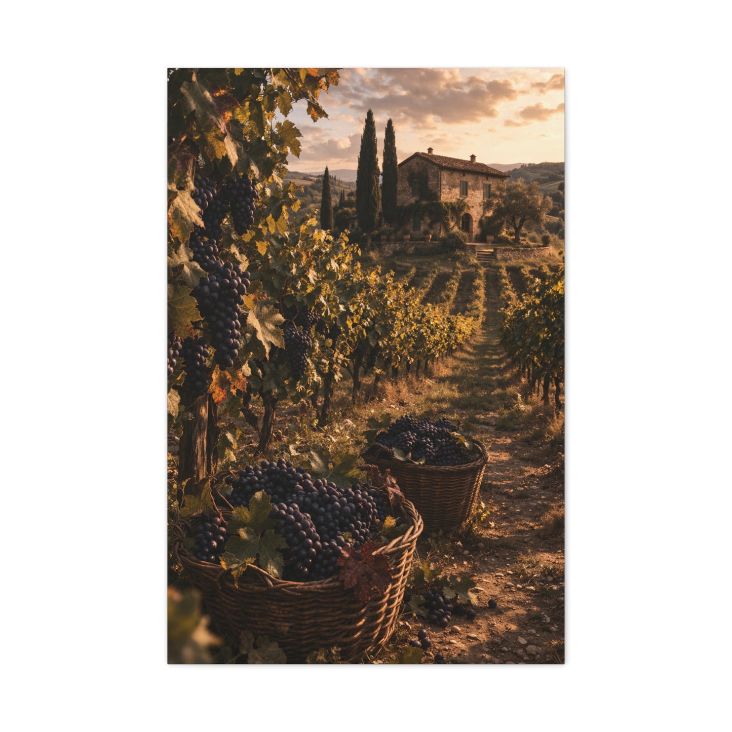 Tuscan Vineyard Harvest Scene Wall Art & Canvas Print