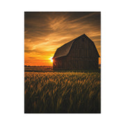 Sunset Barn in Tall Wheat Fields Wall Art & Canvas Prints