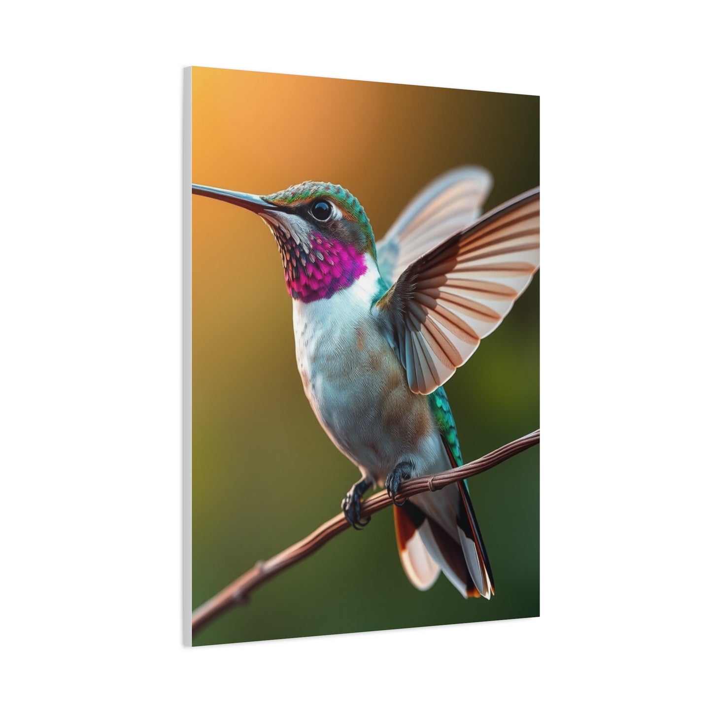 Humming Bird Art Supreme Gallery Wall Art & Canvas Print