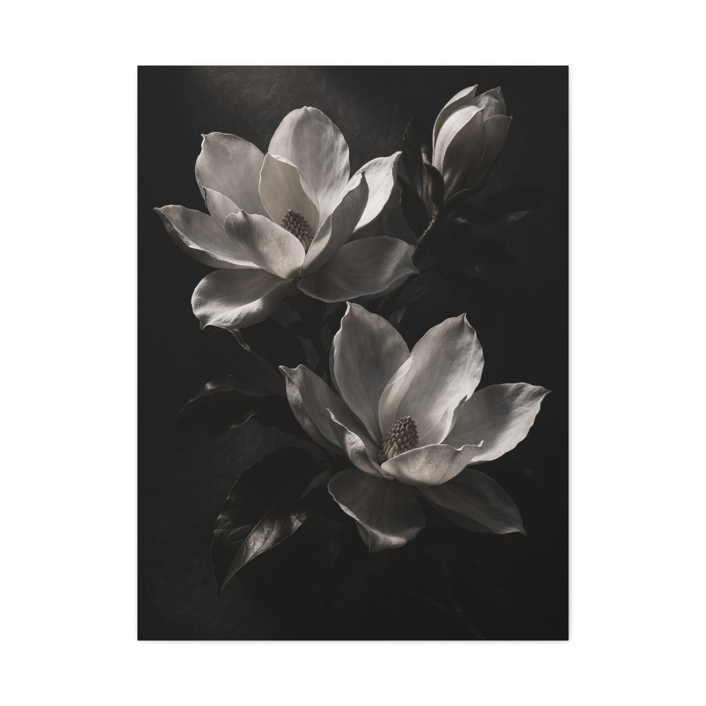 Charcoal Magnolia Floral Wall Art & Canvas Print