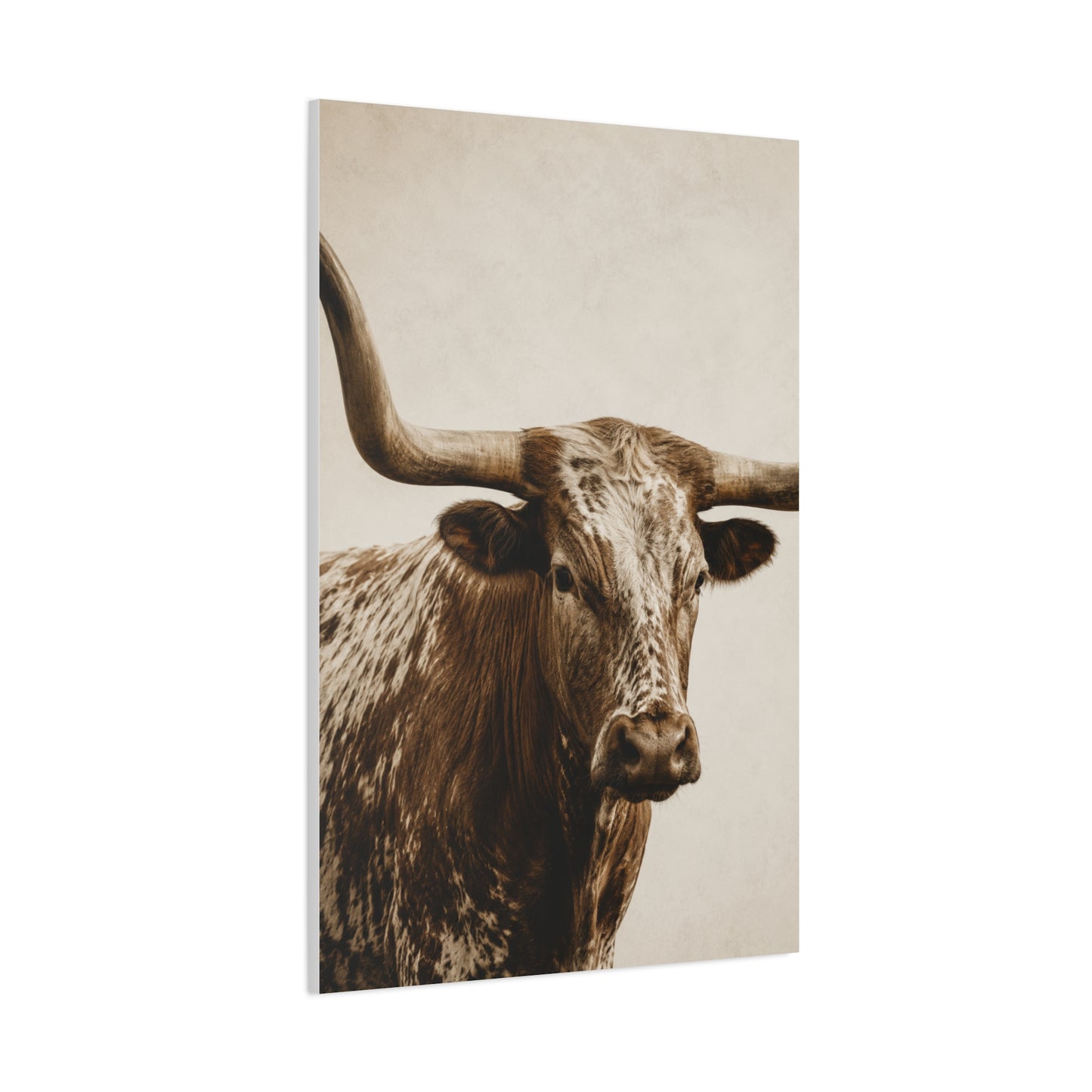 Texas Longhorn Heritage Portrait Wall Art & Canvas Print