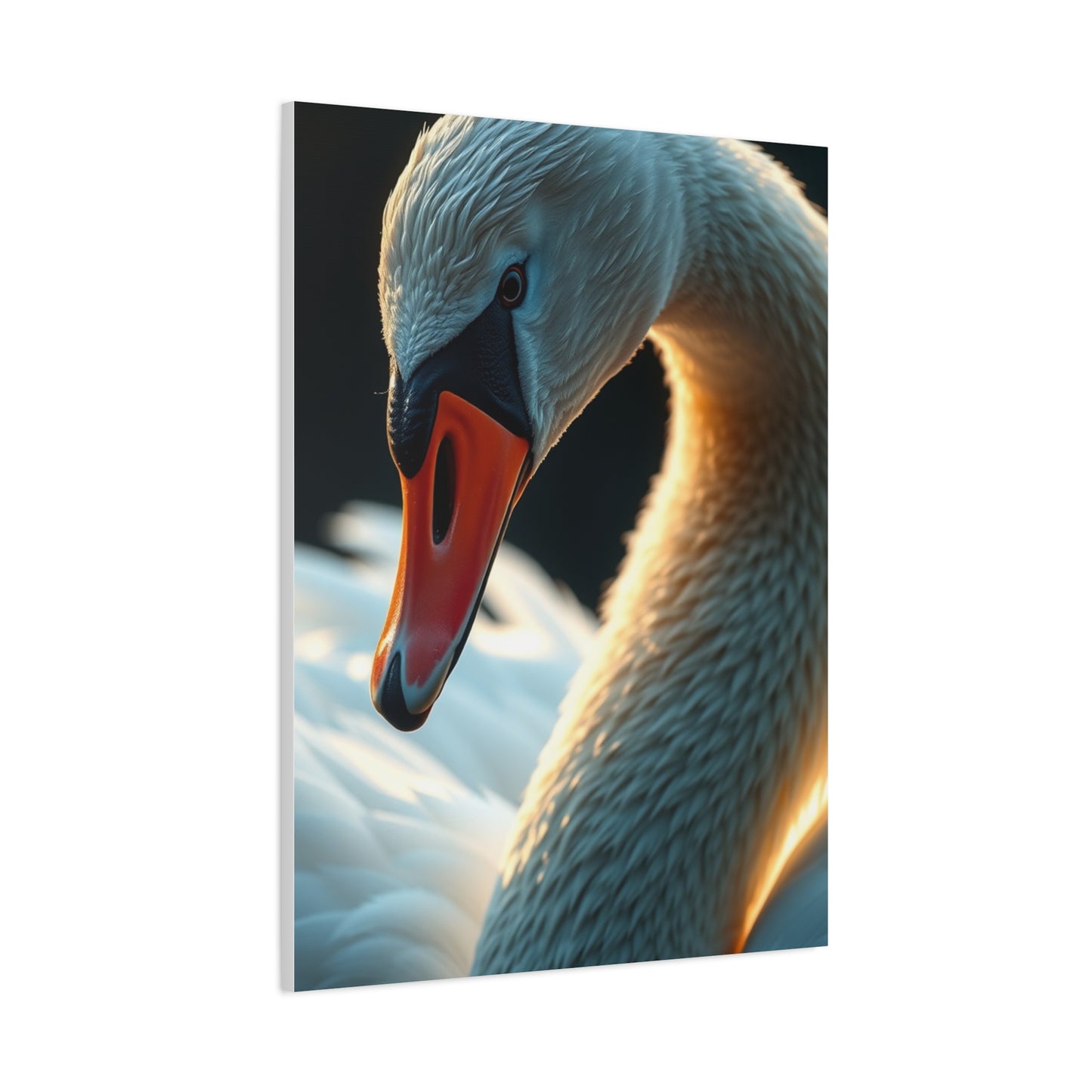 Supreme Swan Art Beautiful Collection Wall Art & Canvas Print